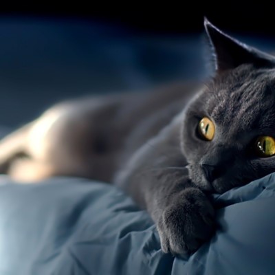 1920 x 1080 HD Wallpapers 2266